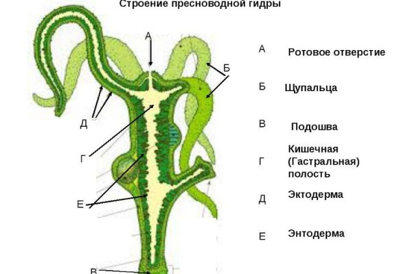 Код 2fa blacksprut подтверждения