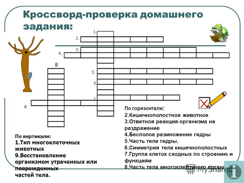 Bs актуальная ссылка